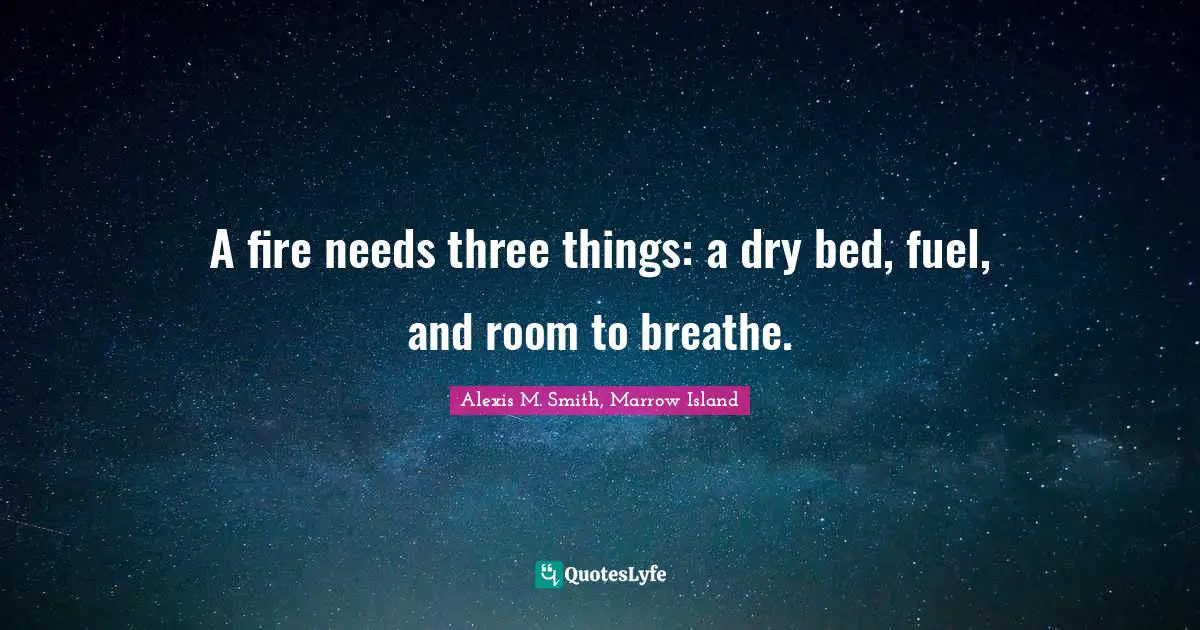 A fire needs three things: a dry bed, fuel, and room to breathe.