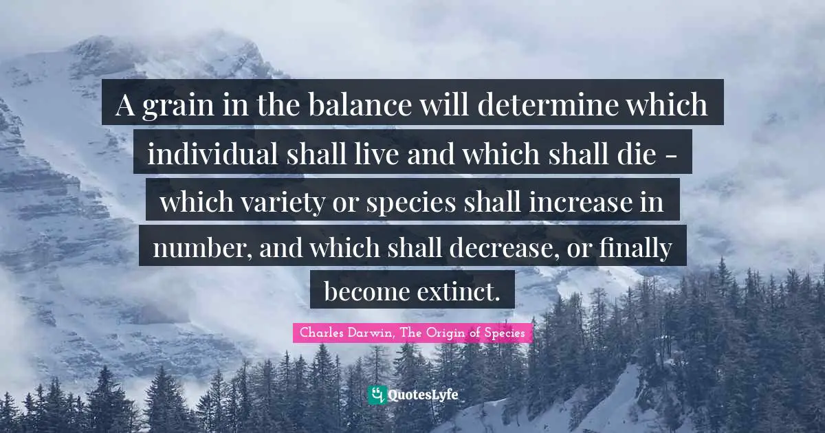 Charles Darwin Quotes: "A grain in the balance will determine which individual shall live and which shall die - which variety or species shall increase in number, and which shall decrease, or finally become extinct."