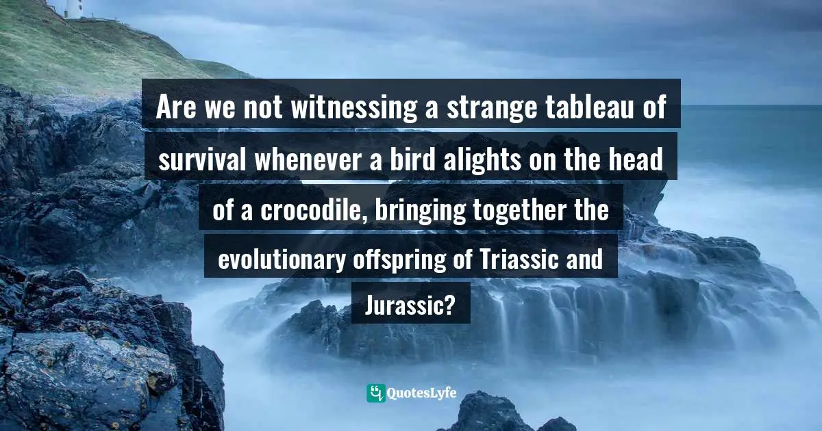 Are we not witnessing a strange tableau of survival whenever a bird alights on the head of a crocodile, bringing together the evolutionary offspring of Triassic and Jurassic?