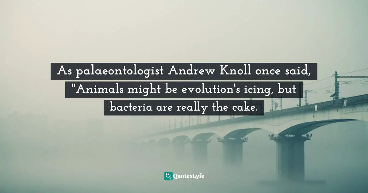 As palaeontologist Andrew Knoll once said, "Animals might be evolution's icing, but bacteria are really the cake.