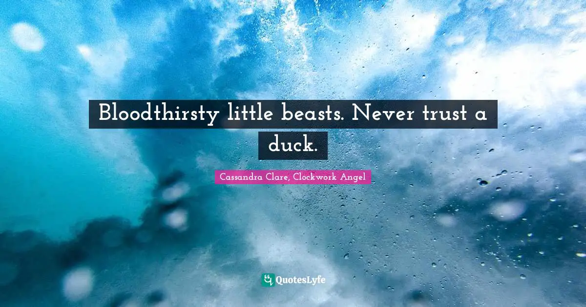 Bloodthirsty little beasts. Never trust a duck.