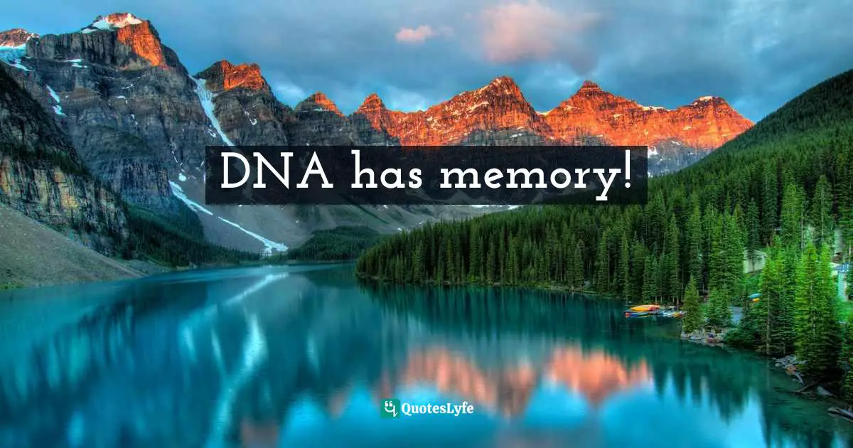 DNA has memory!