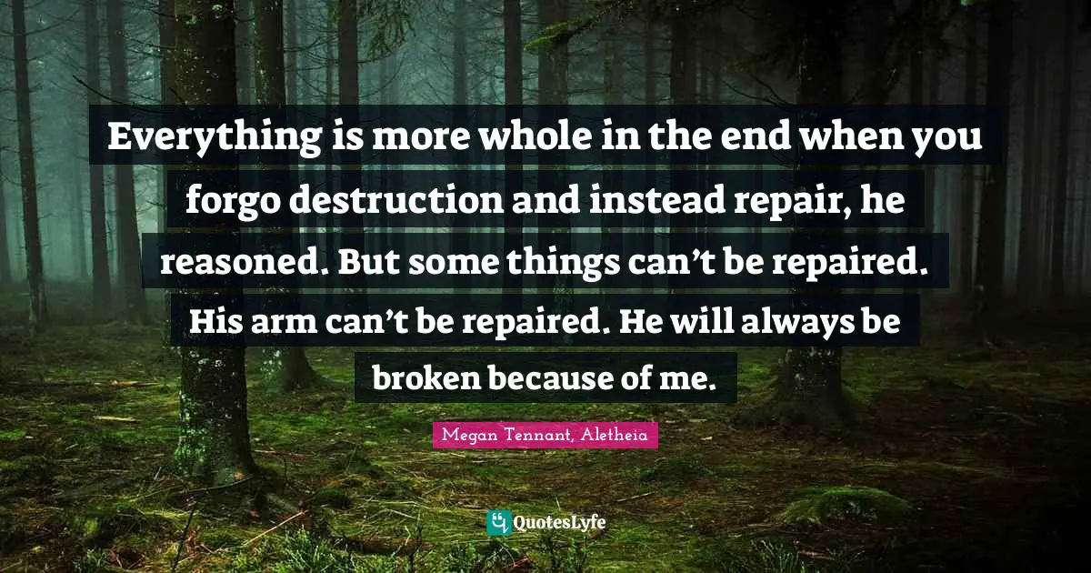 Everything is more whole in the end when you forgo destruction and instead repair, he reasoned. But some things can’t be repaired. His arm can’t be repaired. He will always be broken because of me.