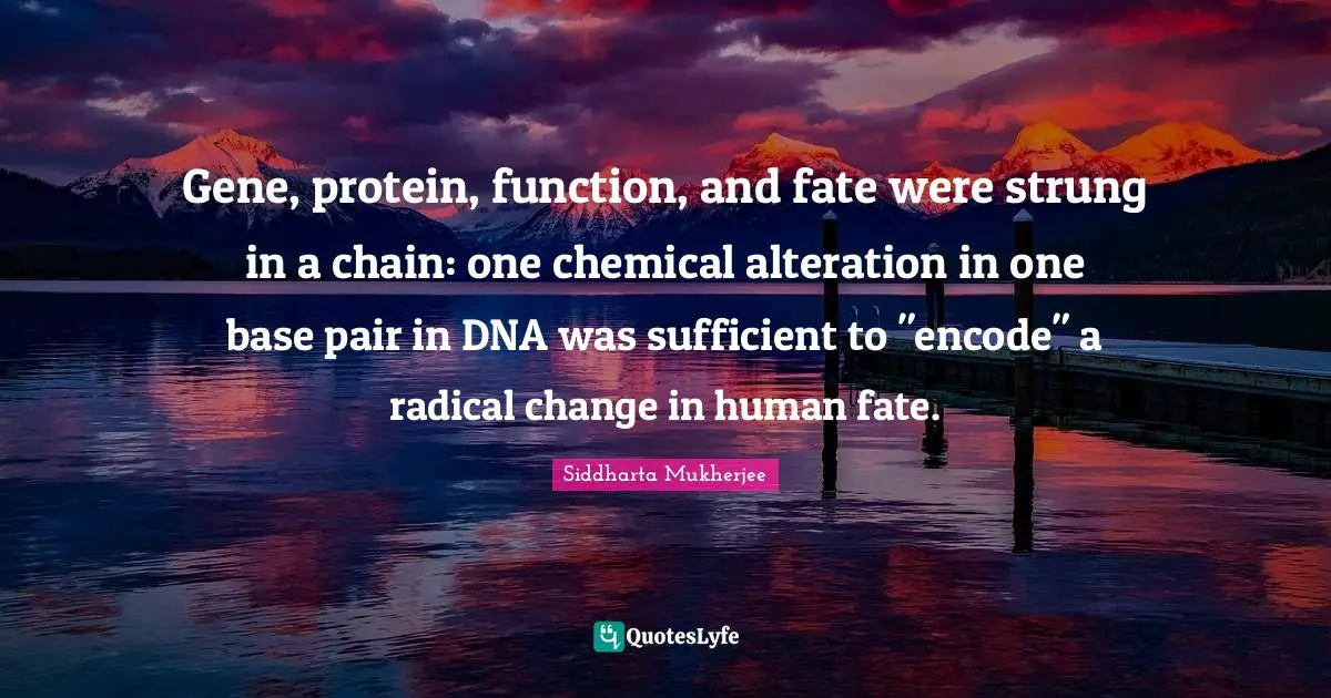 Gene, protein, function, and fate were strung in a chain: one chemical alteration in one base pair in DNA was sufficient to "encode" a radical change in human fate.