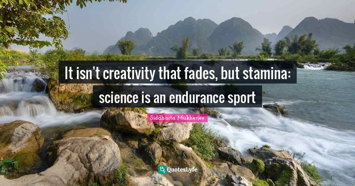 It isn't creativity that fades, but stamina: science is an endurance sport