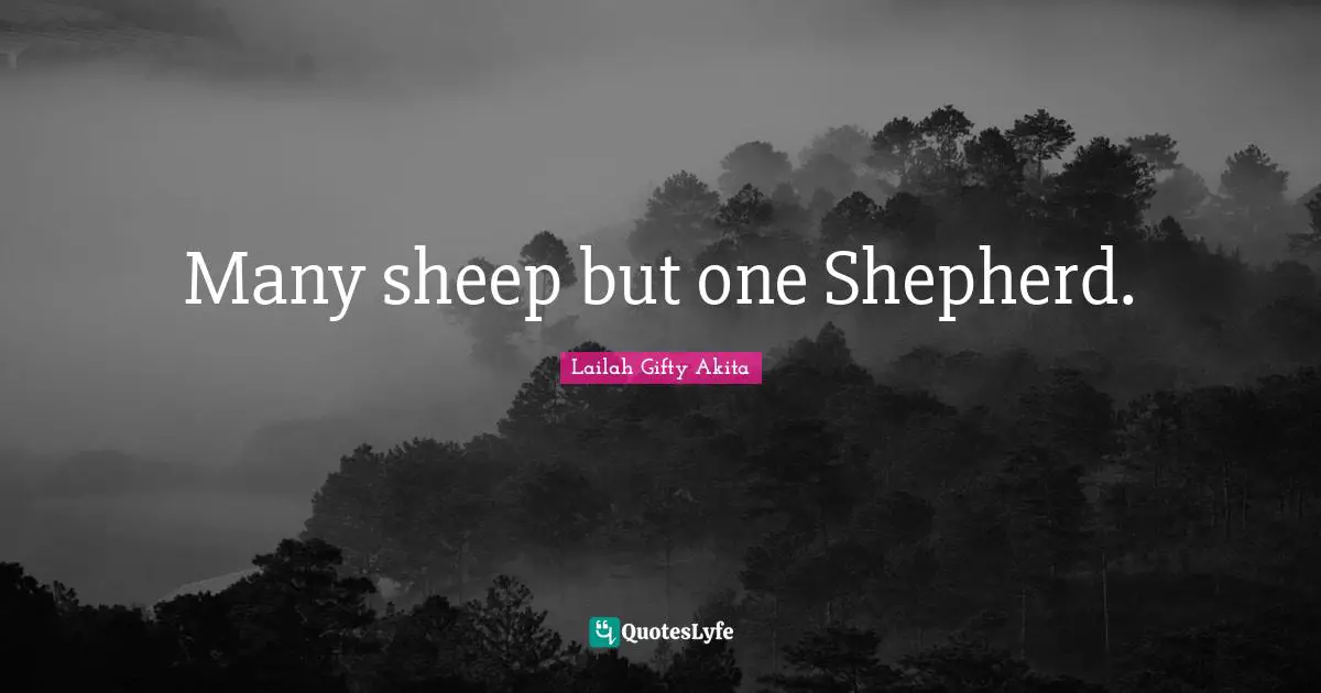 Shepherd Quotes: "Many sheep but one Shepherd."