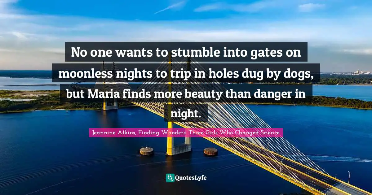 Finding Wonders Quotes: "No one wants to stumble into gates on moonless nights to trip in holes dug by dogs, but Maria finds more beauty than danger in night."