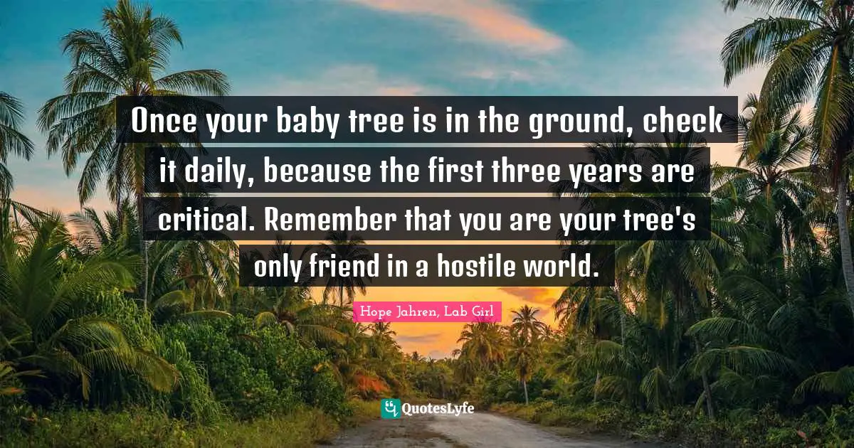 Once your baby tree is in the ground, check it daily, because the first three years are critical. Remember that you are your tree's only friend in a hostile world.