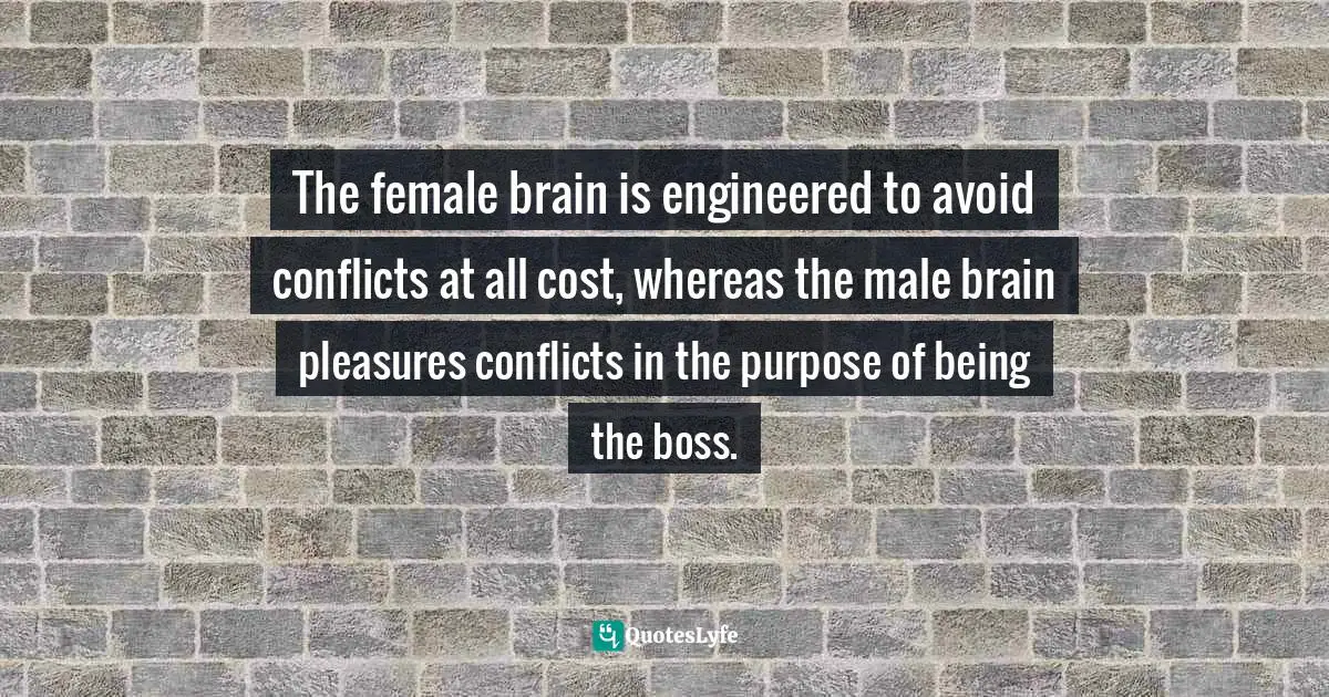 The female brain is engineered to avoid conflicts at all cost, whereas the male brain pleasures conflicts in the purpose of being the boss.