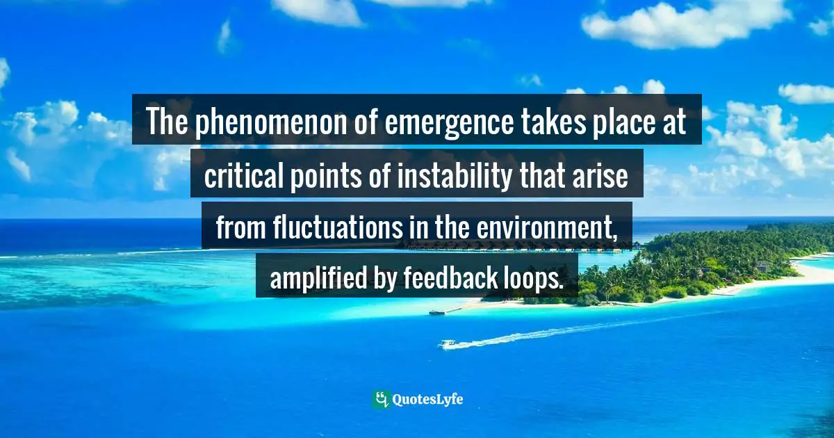 The phenomenon of emergence takes place at critical points of instability that arise from fluctuations in the environment, amplified by feedback loops.