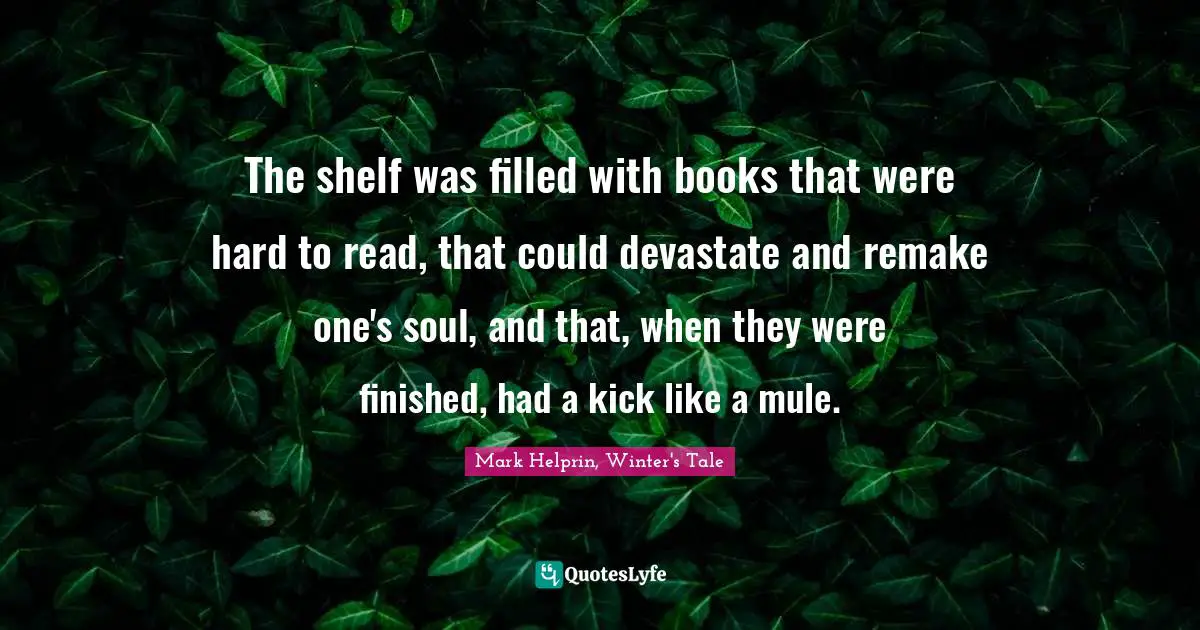 The shelf was filled with books that were hard to read, that could devastate and remake one's soul, and that, when they were finished, had a kick like a mule.