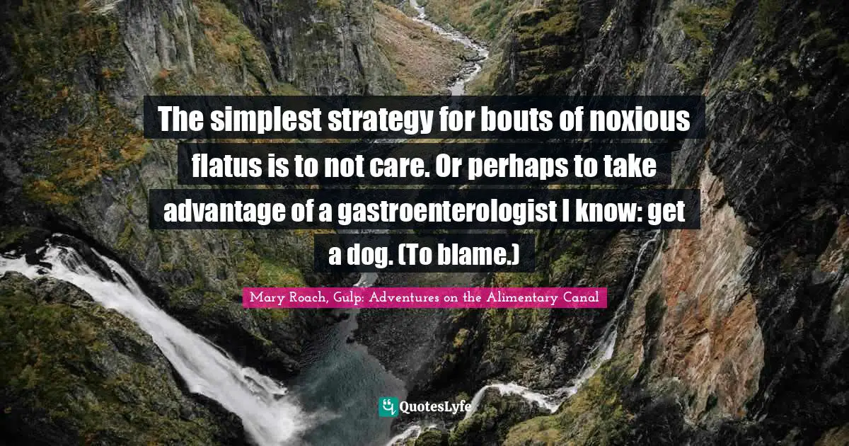 The simplest strategy for bouts of noxious flatus is to not care. Or perhaps to take advantage of a gastroenterologist I know: get a dog. (To blame.)