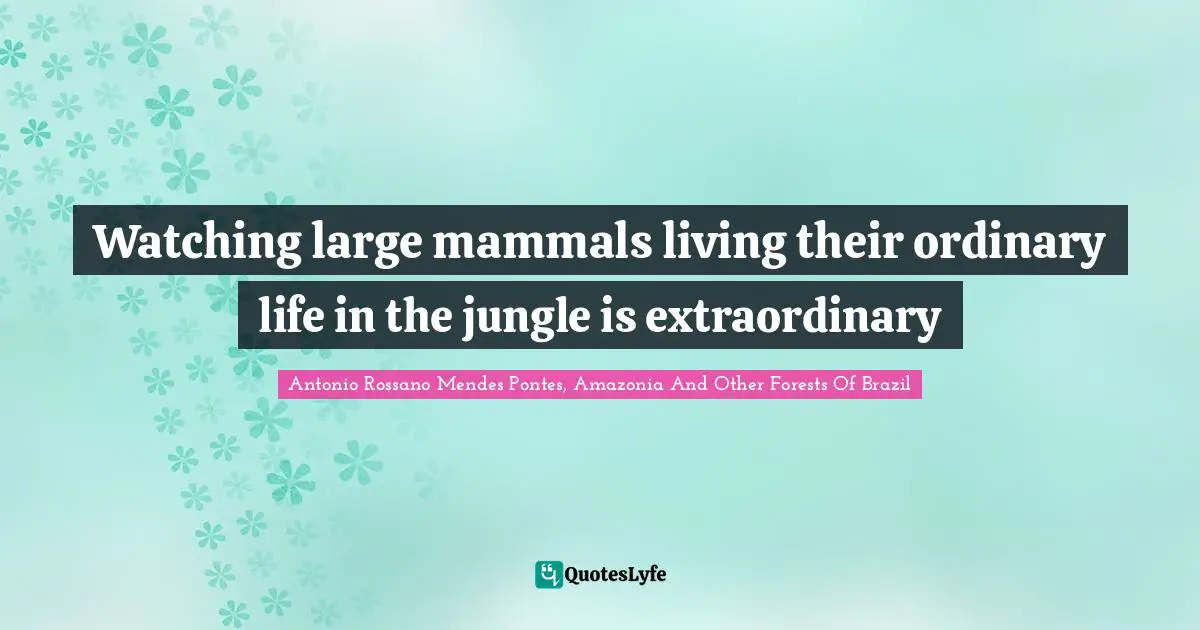 Watching large mammals living their ordinary life in the jungle is extraordinary