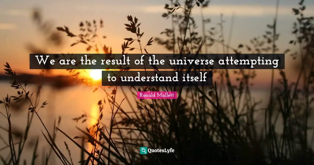 We are the result of the universe attempting to understand itself