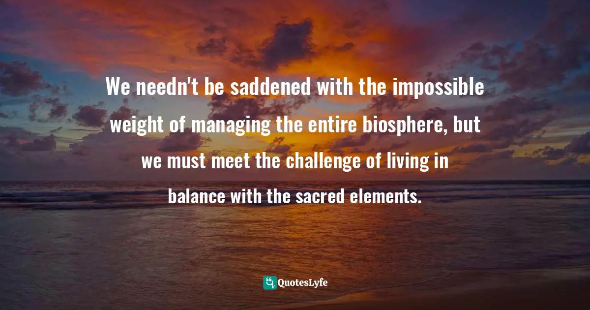 We needn't be saddened with the impossible weight of managing the entire biosphere, but we must meet the challenge of living in balance with the sacred elements.