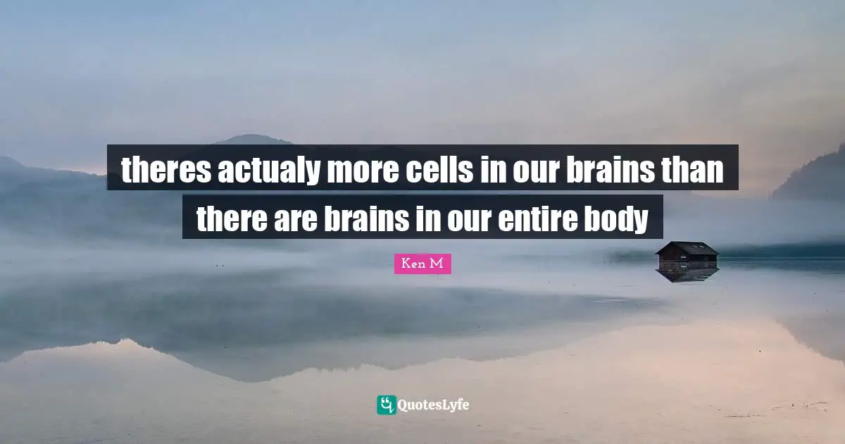 theres actualy more cells in our brains than there are brains in our entire body