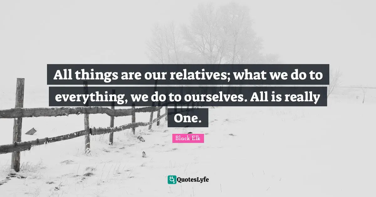 Black Elk Quotes: "All things are our relatives; what we do to everything, we do to ourselves. All is really One."