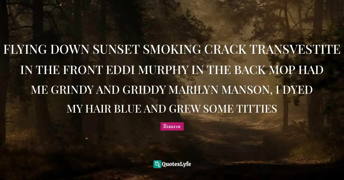 FLYING DOWN SUNSET SMOKING CRACK TRANSVESTITE IN THE FRONT EDDI MURPHY IN THE BACK MOP HAD ME GRINDY AND GRIDDY MARILYN MANSON, I DYED MY HAIR BLUE AND GREW SOME TITTIES