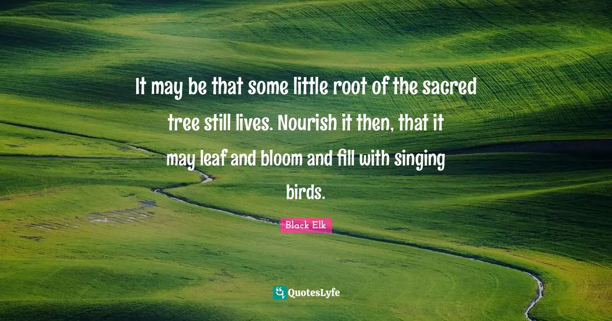 Black Elk Quotes: "It may be that some little root of the sacred tree still lives. Nourish it then, that it may leaf and bloom and fill with singing birds."