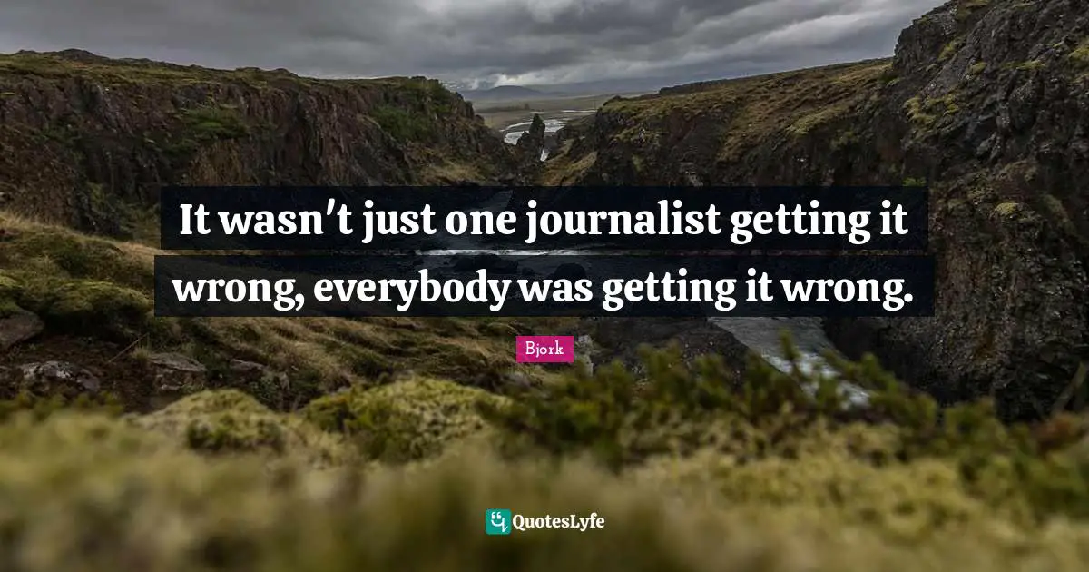 It wasn't just one journalist getting it wrong, everybody was getting it wrong.