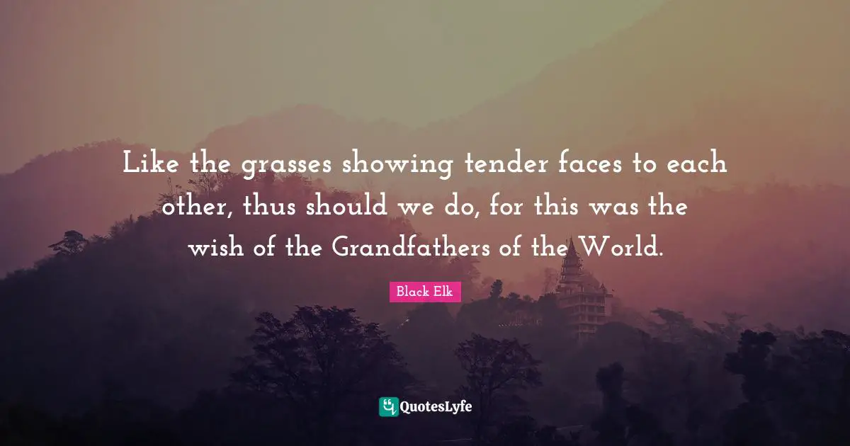 Black Elk Quotes: "Like the grasses showing tender faces to each other, thus should we do, for this was the wish of the Grandfathers of the World."
