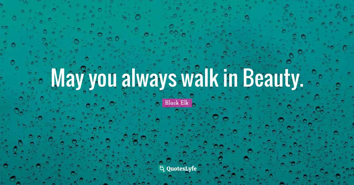 Black Elk Quotes: "May you always walk in Beauty."