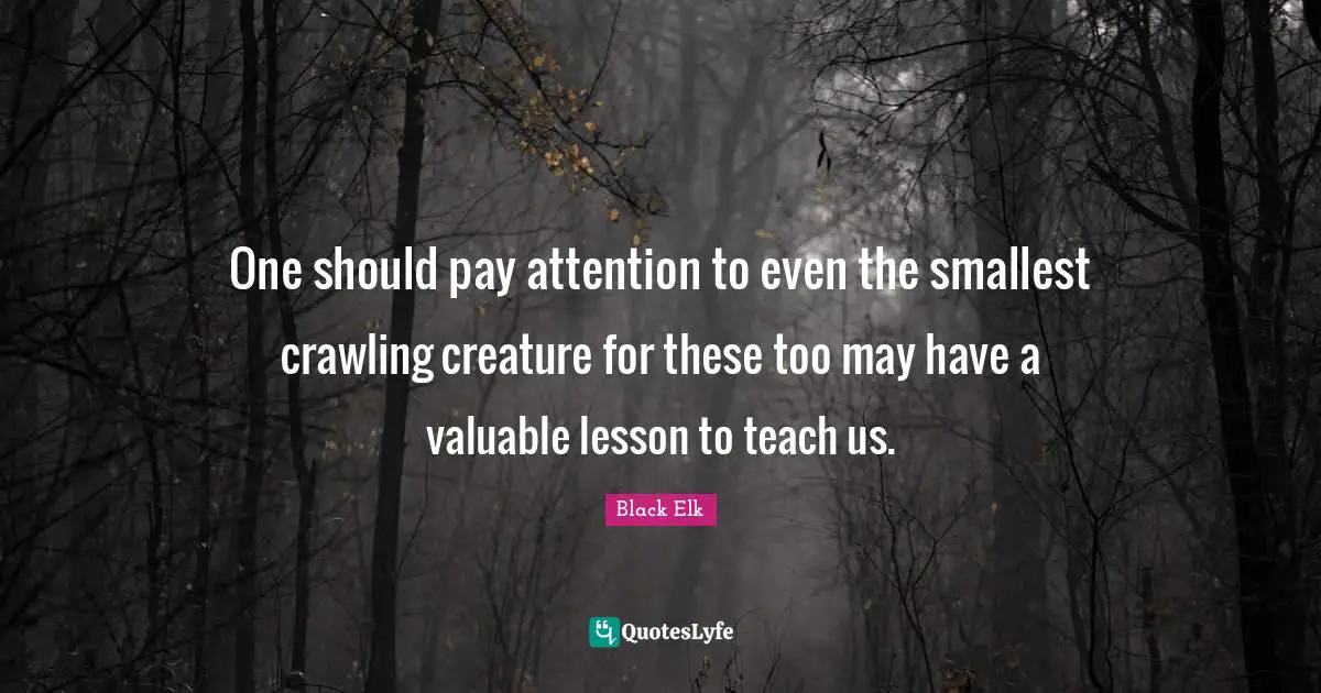 Black Elk Quotes: One should pay attention to even the smallest crawling creature for these too may have a valuable lesson to teach us.