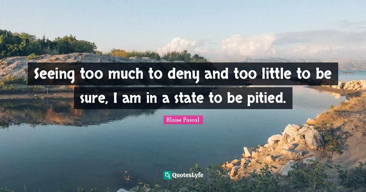 Seeing too much to deny and too little to be sure, I am in a state to be pitied.