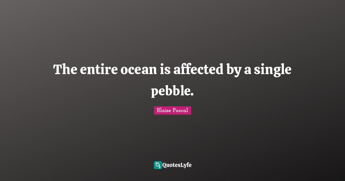 Pebbles Quotes: "The entire ocean is affected by a single pebble."