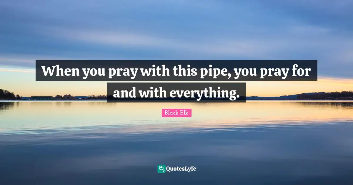 Black Elk Quotes: "When you pray with this pipe, you pray for and with everything."