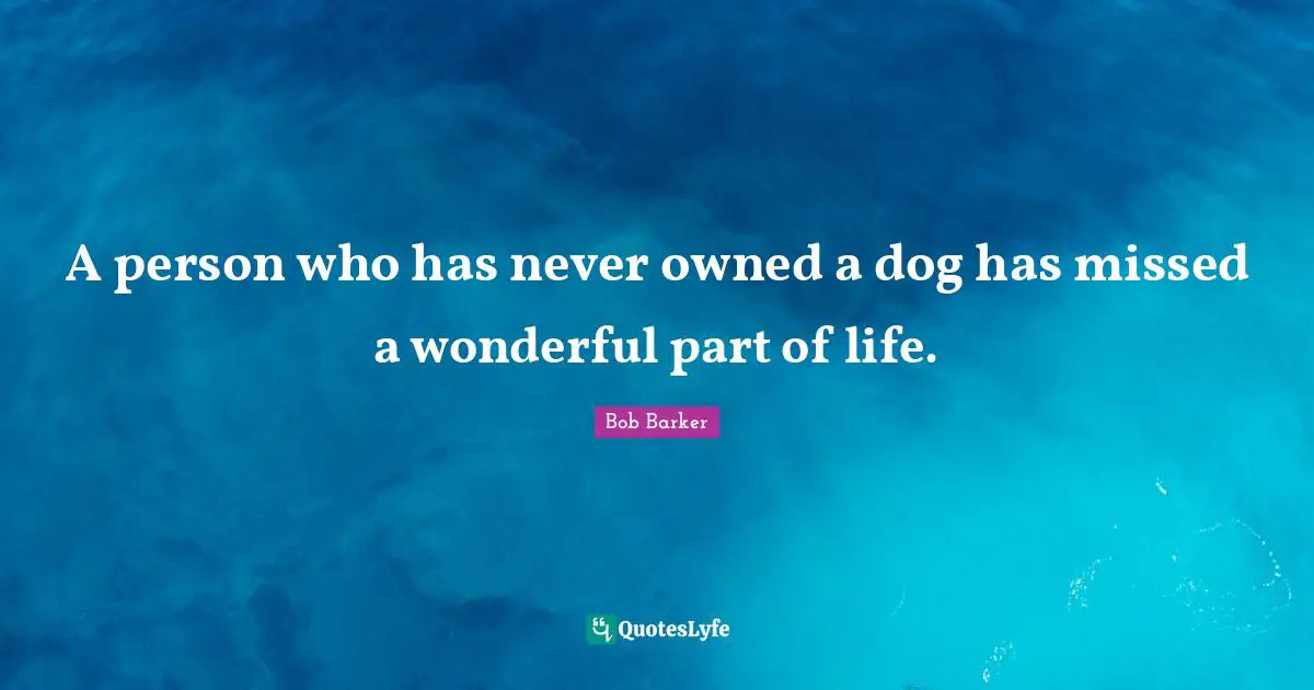 Pet Quotes: "A person who has never owned a dog has missed a wonderful part of life."