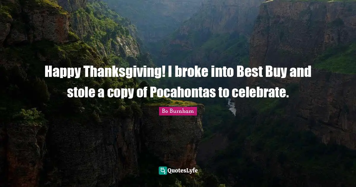 Happy Thanksgiving! I broke into Best Buy and stole a copy of Pocahontas to celebrate.