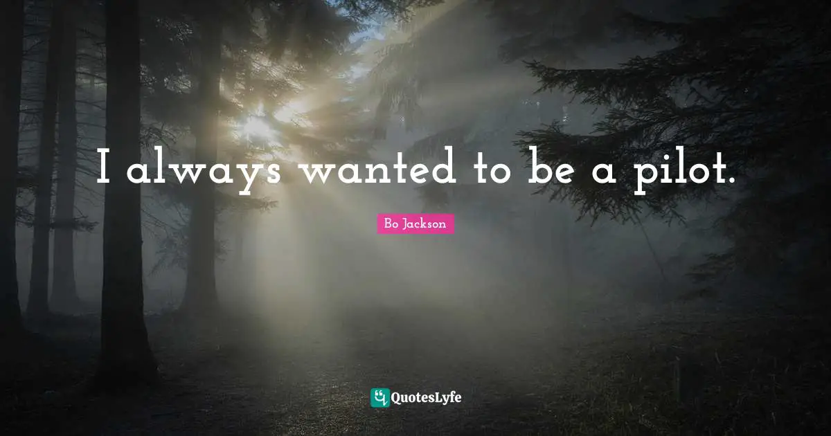 I always wanted to be a pilot.