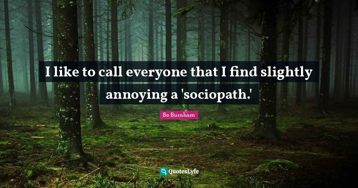 Bo Burnham Quotes: I like to call everyone that I find slightly annoying a 'sociopath.'