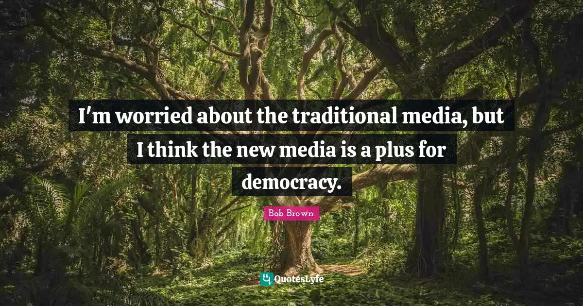 Bob Brown Quotes: "I'm worried about the traditional media, but I think the new media is a plus for democracy."