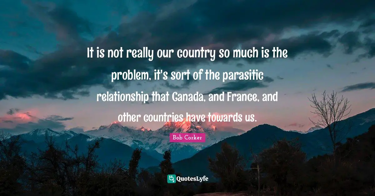 It is not really our country so much is the problem, it's sort of the parasitic relationship that Canada, and France, and other countries have towards us.