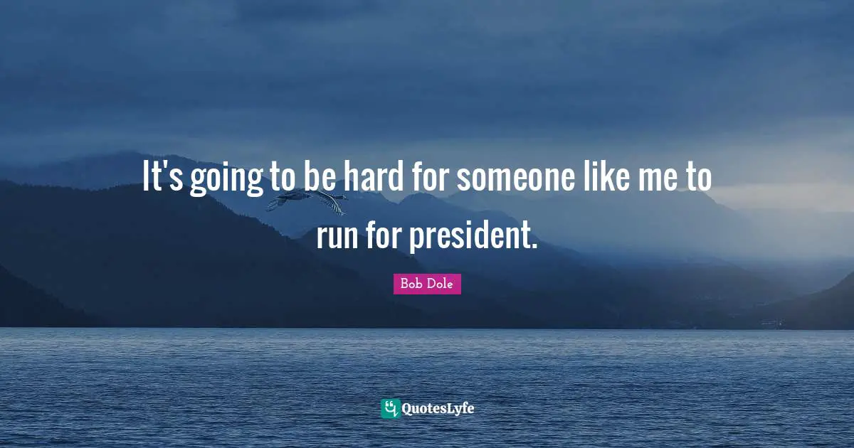 It's going to be hard for someone like me to run for president.