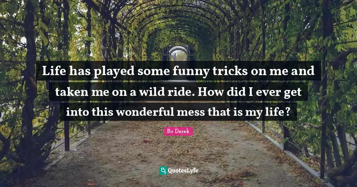 Life has played some funny tricks on me and taken me on a wild ride. How did I ever get into this wonderful mess that is my life?