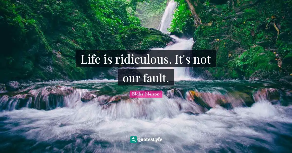 Life is ridiculous. It's not our fault.