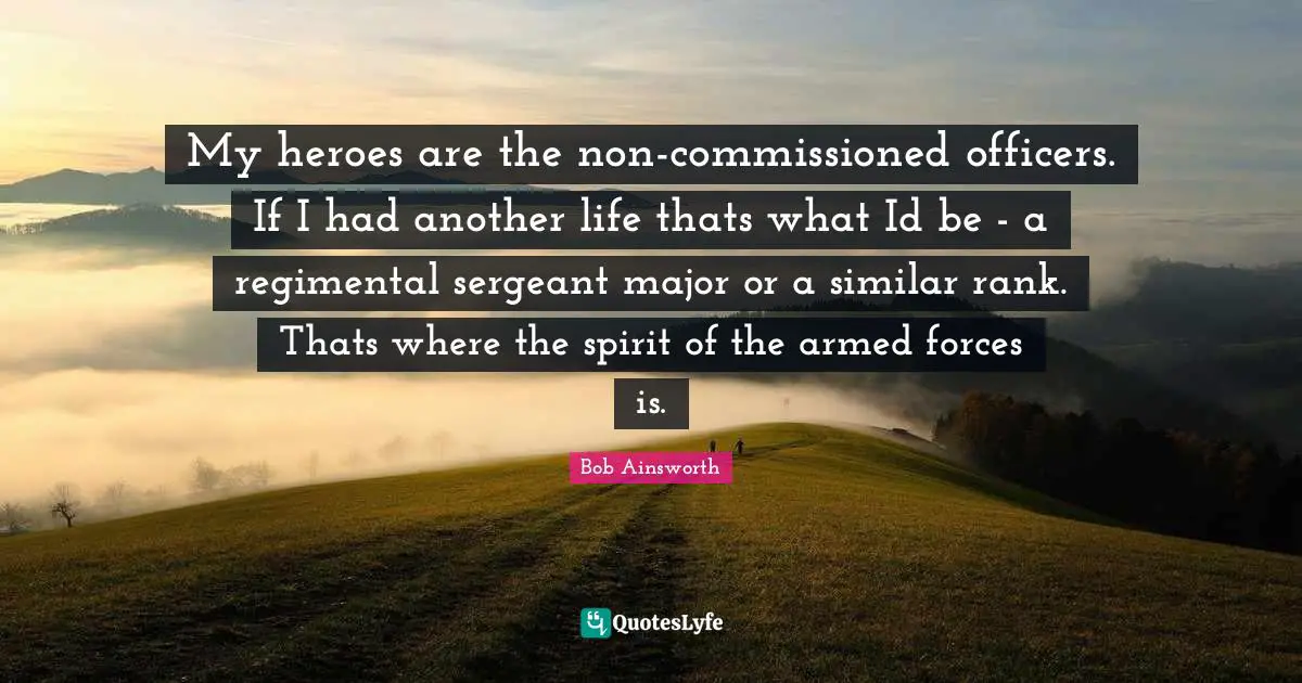 My heroes are the non-commissioned officers. If I had another life thats what Id be - a regimental sergeant major or a similar rank. Thats where the spirit of the armed forces is.
