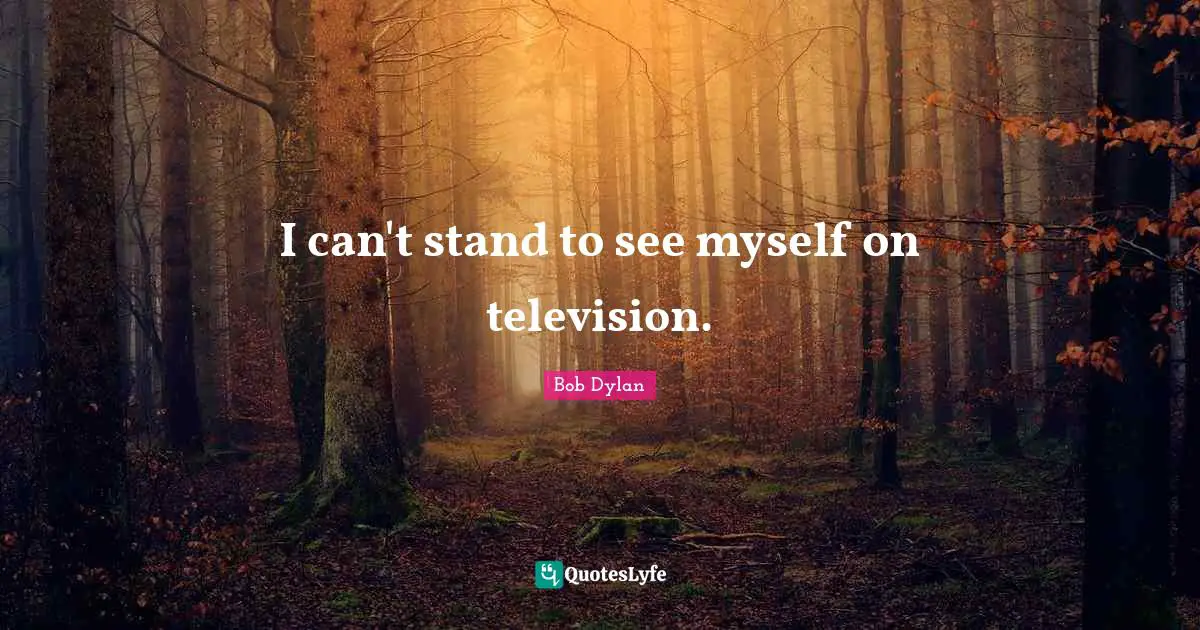 I can't stand to see myself on television.