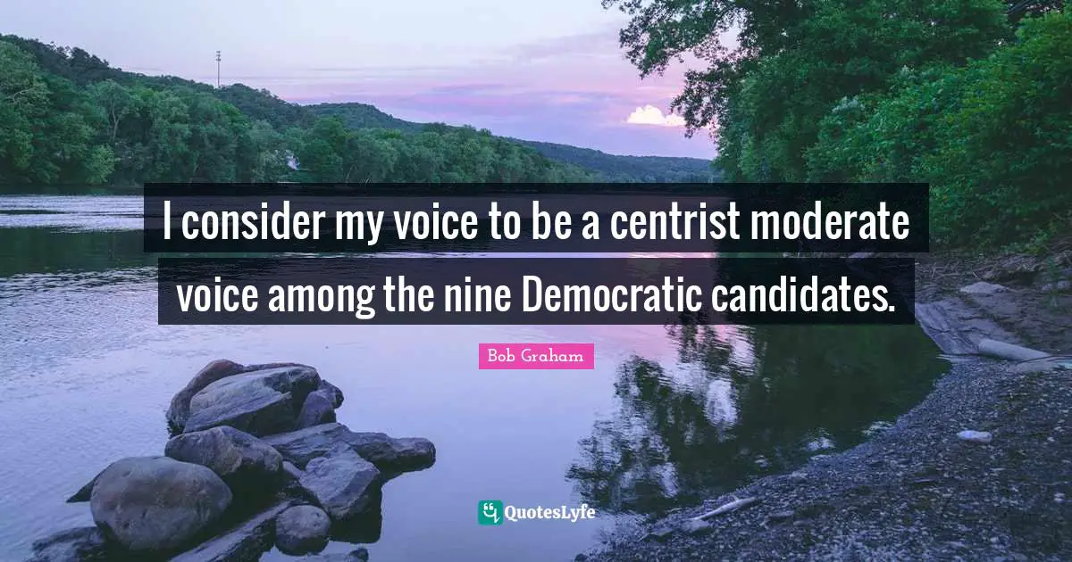 I consider my voice to be a centrist moderate voice among the nine Democratic candidates.