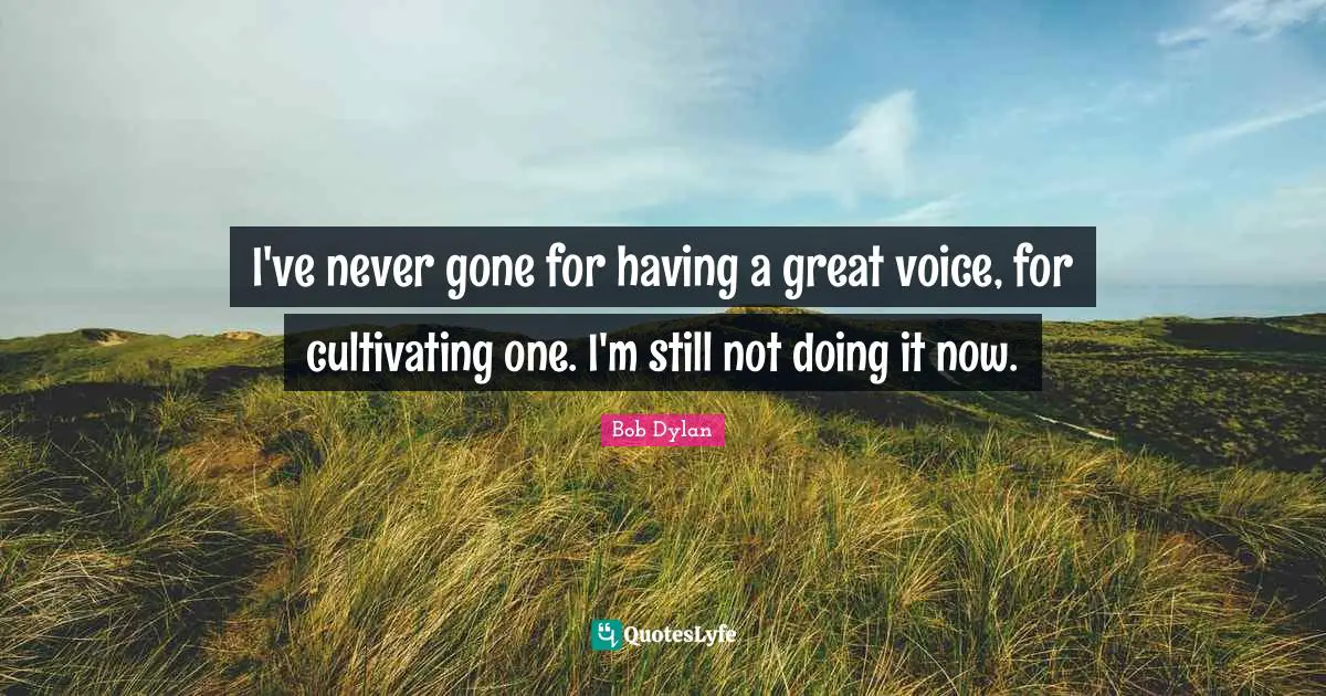 I've never gone for having a great voice, for cultivating one. I'm still not doing it now.