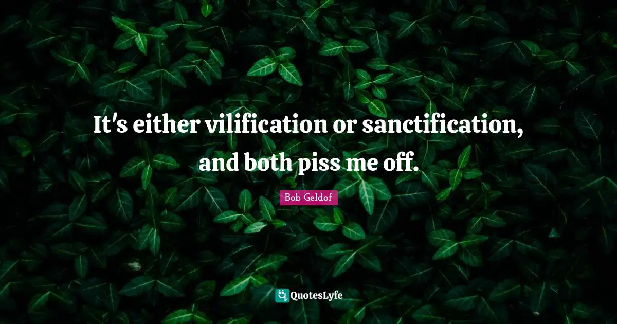 It's either vilification or sanctification, and both piss me off.