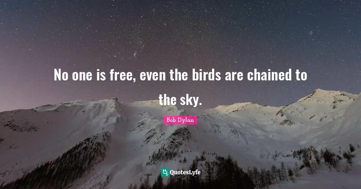 No one is free, even the birds are chained to the sky.