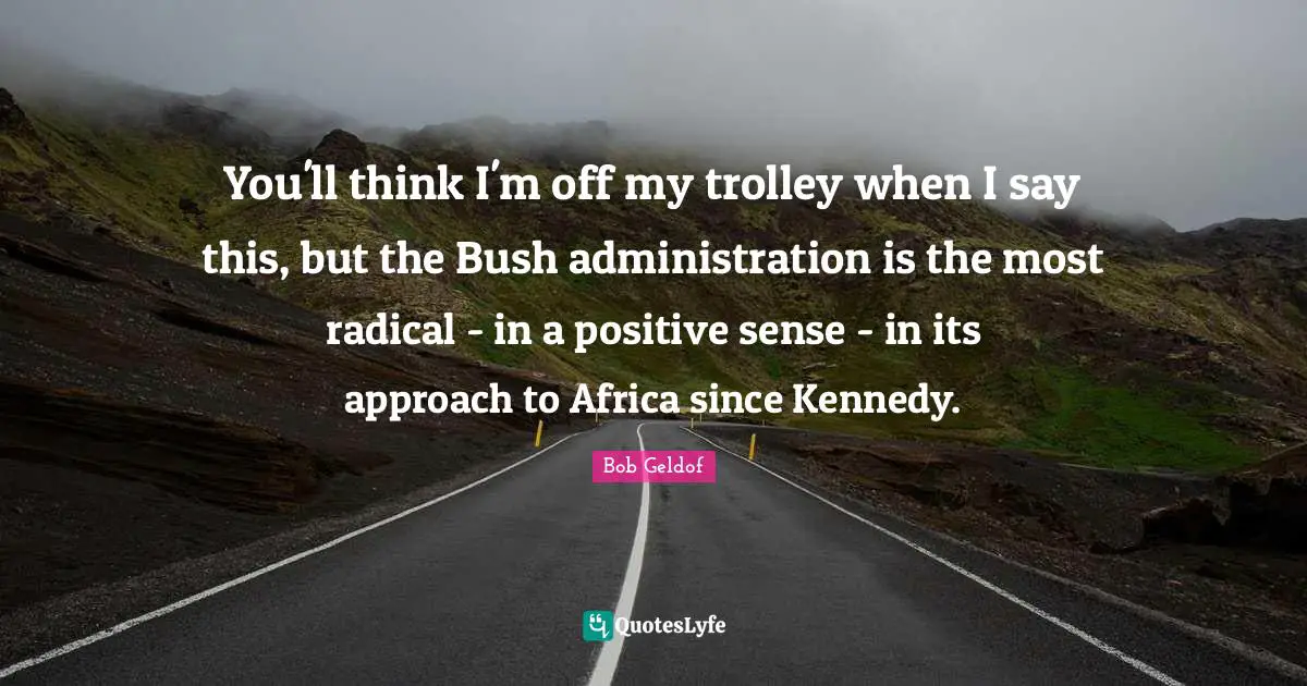 You'll think I'm off my trolley when I say this, but the Bush administration is the most radical - in a positive sense - in its approach to Africa since Kennedy.