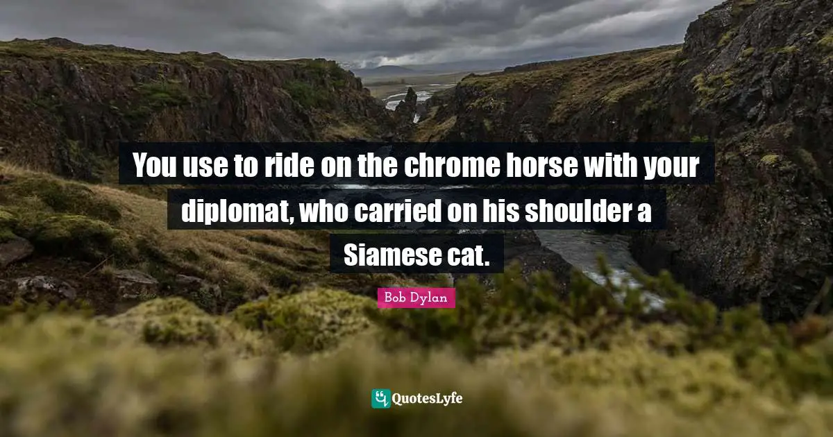 You use to ride on the chrome horse with your diplomat, who carried on his shoulder a Siamese cat.