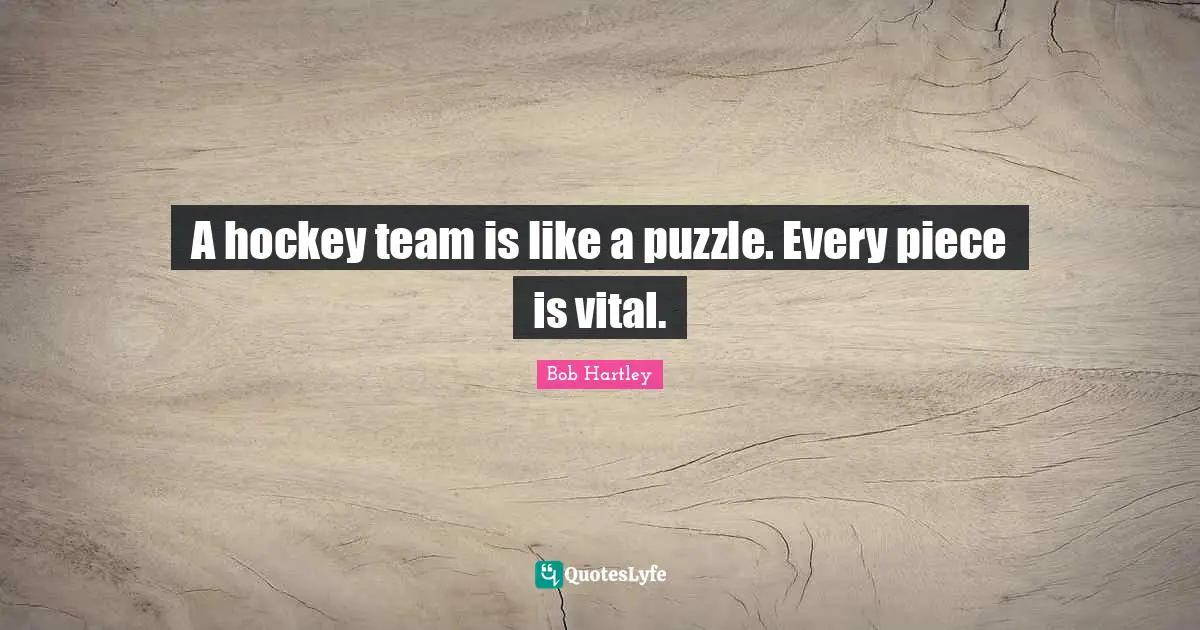 A hockey team is like a puzzle. Every piece is vital.