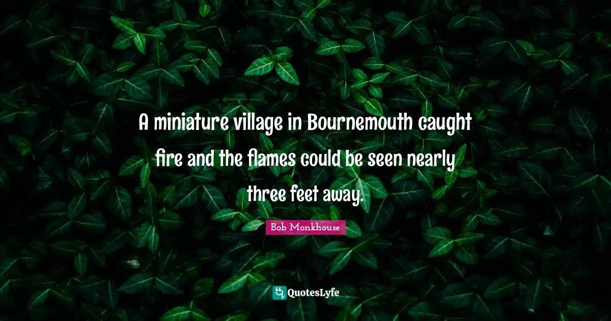 A miniature village in Bournemouth caught fire and the flames could be seen nearly three feet away.