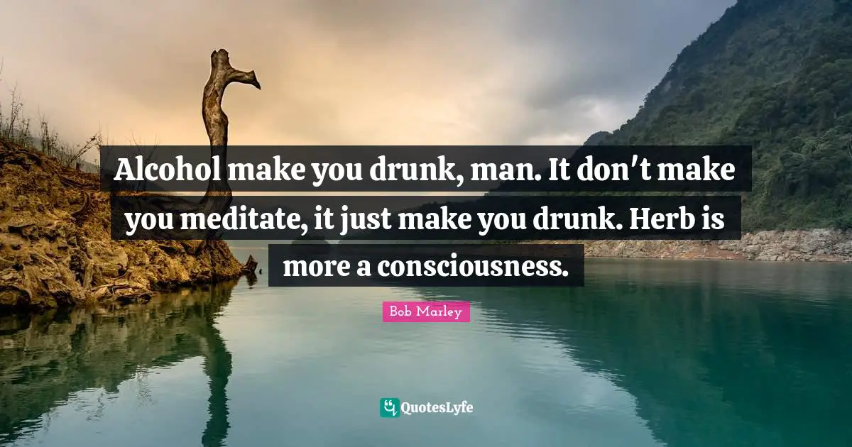 Alcohol make you drunk, man. It don't make you meditate, it just make you drunk. Herb is more a consciousness.